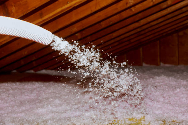 Best Garage Insulation Installation  in Jonestown, TX