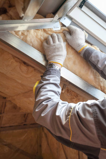 Professional Insulation Contractor in Jonestown, TX