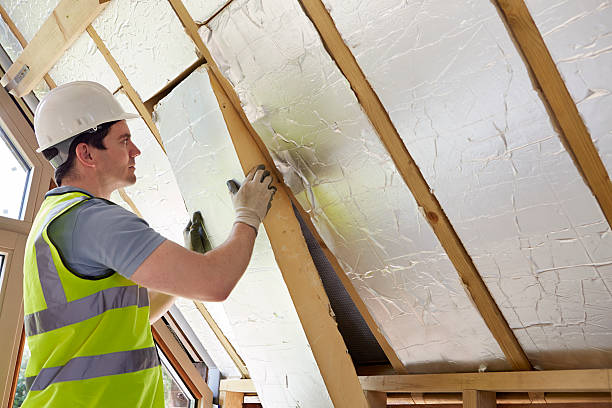 Best Insulation Inspection Services  in Jonestown, TX