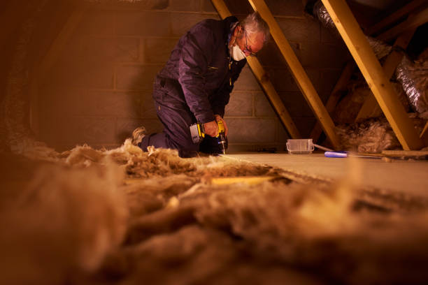 Best Professional Insulation Contractor  in Jonestown, TX