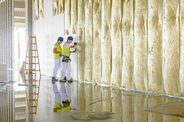 Best Commercial Insulation Contractor  in Jonestown, TX